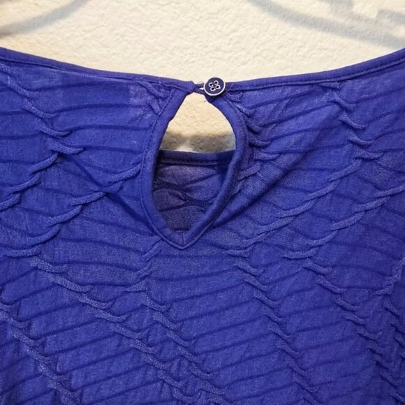 Chico's 3 Women's Top Blouse Size Large Blue Crinkled 3/4 Sleeves Stretchy - Picture 8 of 16